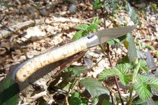 100_1233.jpg
