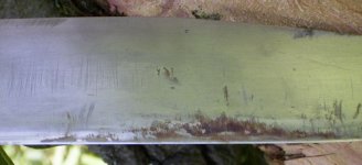 RIMG0734.jpg