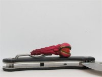 C115CFP T-Mag 107 (Medium).JPG