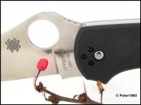 C90CFP Stretch II 104 (Medium).jpg