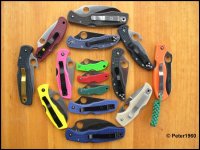 FRN Colors 2 (Medium).jpg
