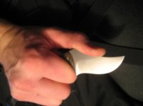 IMG_0475.jpg