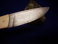 DSCN1582 (Medium).JPG
