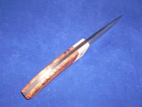 DSCN1589 (Medium).JPG