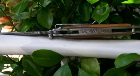 Buddy Weston oben.JPG