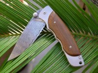 Buddy weston halb offen.jpg