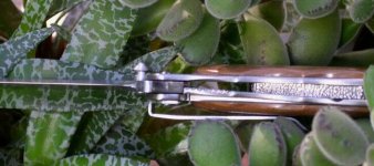 Buddy weston Lock.jpg