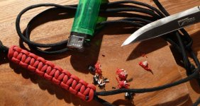 Lanyard 1 - P1170662_klein.jpg