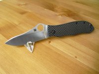 Spyderco_Gayle_Bradley_001.JPG