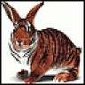 lynx