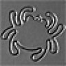 spyderbug