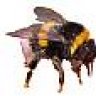 buzzzer