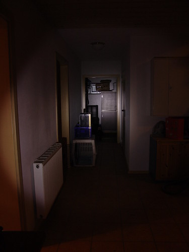3161478622_56c8a33479.jpg