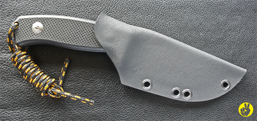 Lionsteel-Holster.jpg