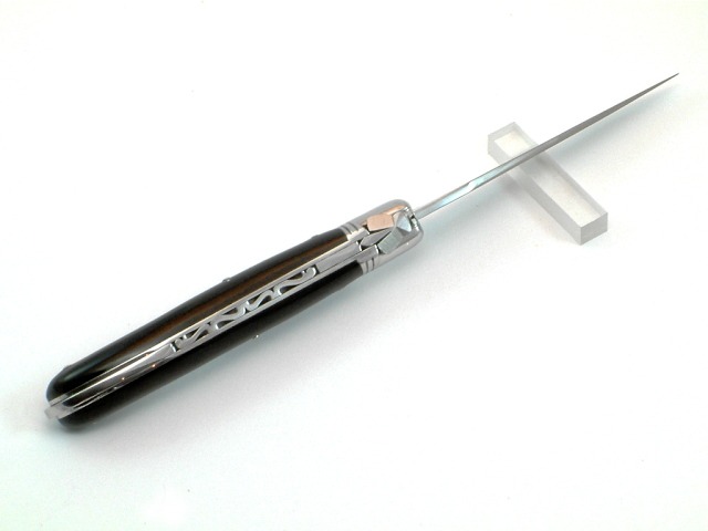 Pataud_Lockback_2.jpg