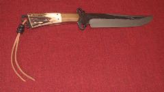 Schweikert6