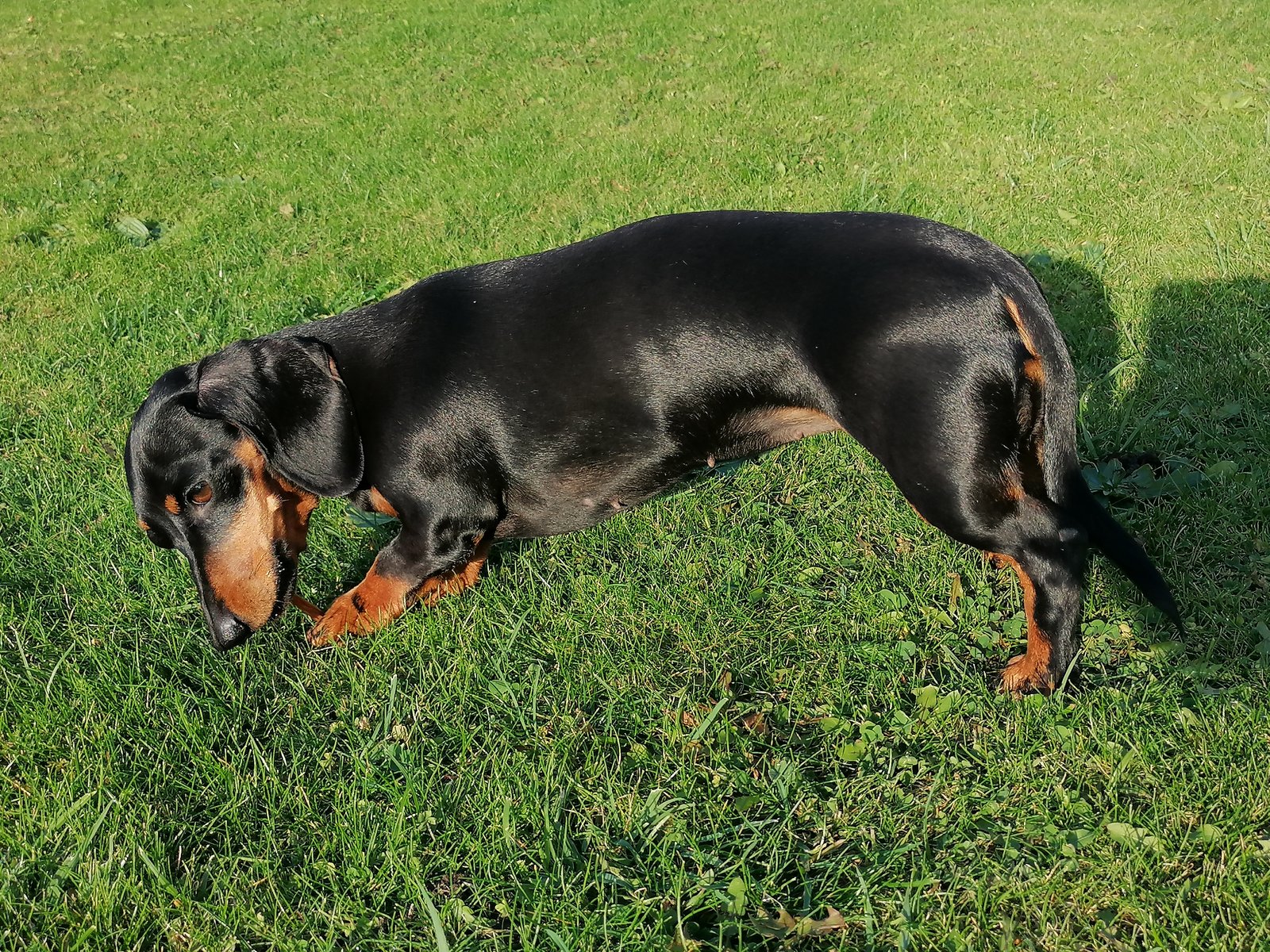 img_20211111_140043-jpg.261125