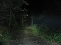 e wald1 tk.jpg e wald1 tk.jpg