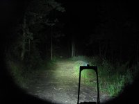 f wald2 tk.jpg f wald2 tk.jpg
