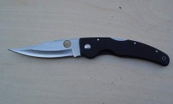 Spydy01.jpg