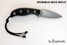 Spyderco Mule 2_Bildgröße ändern.jpg