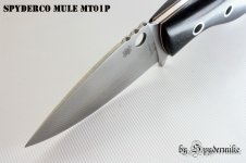 Spyderco Mule 3_Bildgröße ändern.jpg