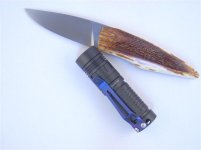 DSCN3524 (Medium).JPG