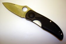 SPYDERCO C37 Michael Walker Lightweight 2.JPG