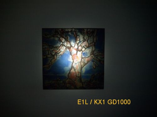 E1L-GD1000.jpg