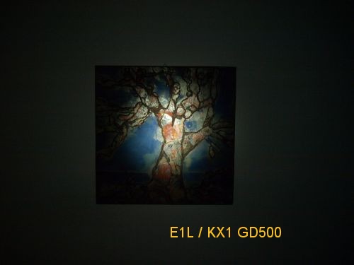 E1L-GD500.jpg